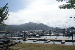 Labor day 2014 – Garibaldi Oregon